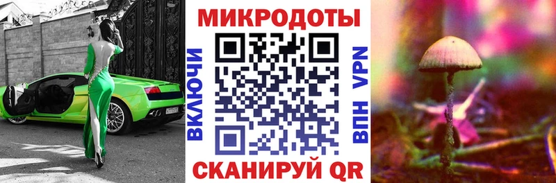 наркошоп  Минеральные Воды  Псилоцибиновые грибы мицелий 