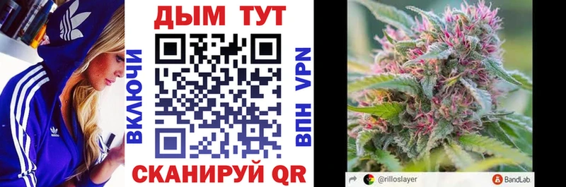 Каннабис MAZAR Минеральные Воды